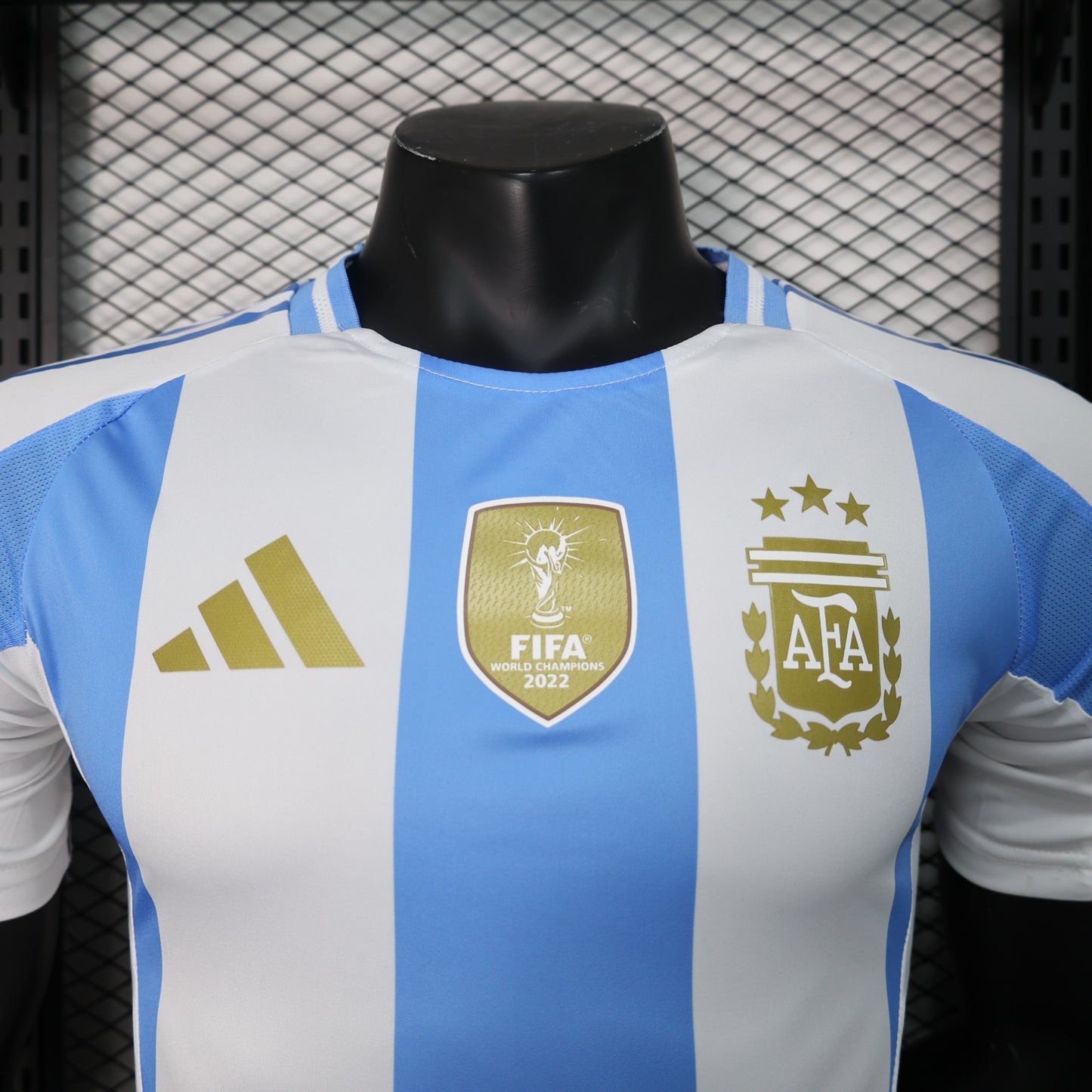 Argentina World Cup Champions