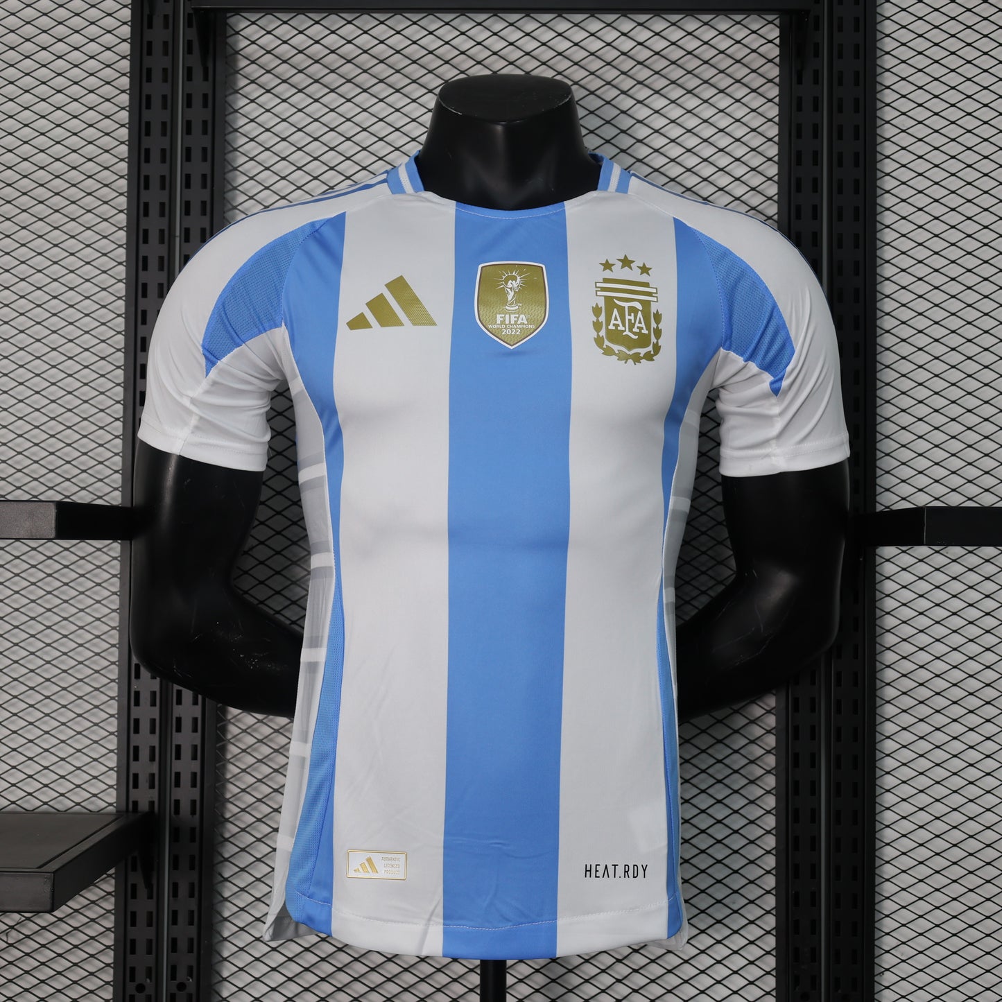 Argentina World Cup Champions