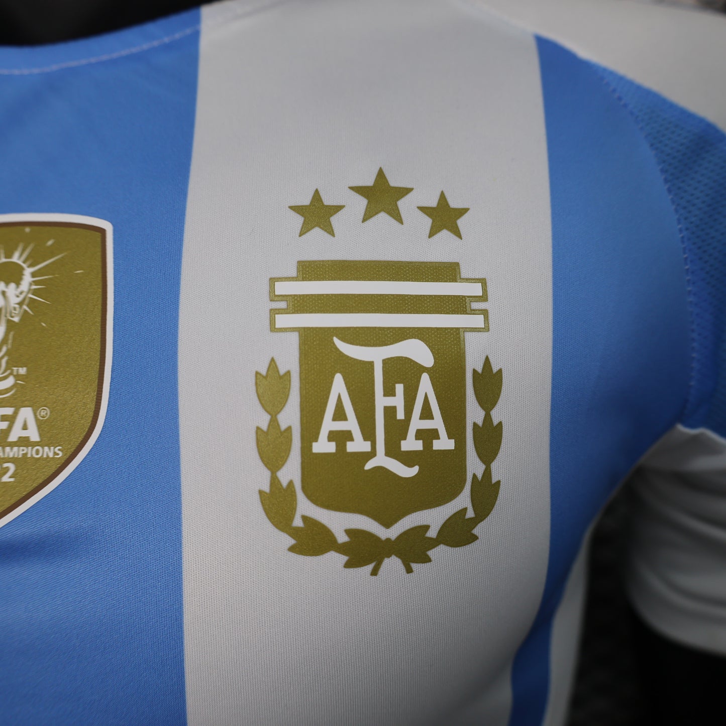 Argentina World Cup Champions